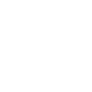 Aurora Digitali